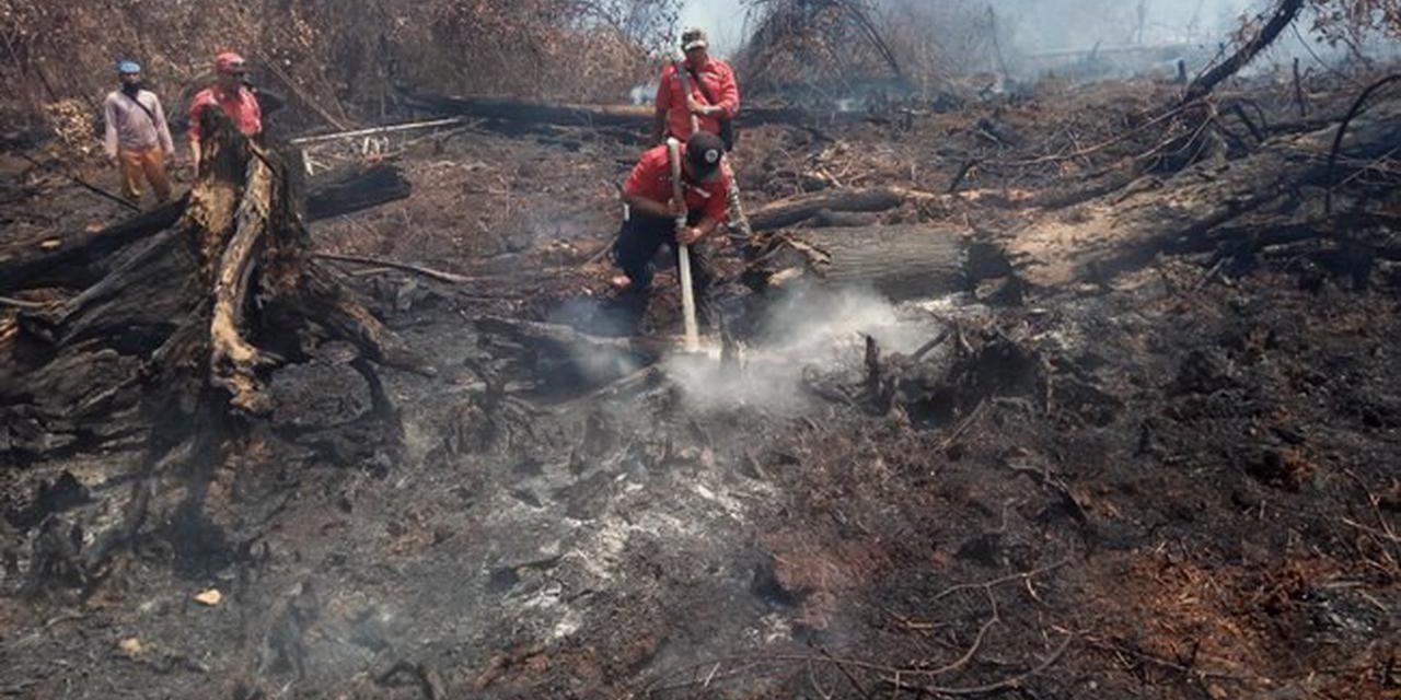 Kebakaran Hutan Kalimantan Terus Meluas, Upaya Pemadaman Dipercepat dengan Dukungan Komunitas